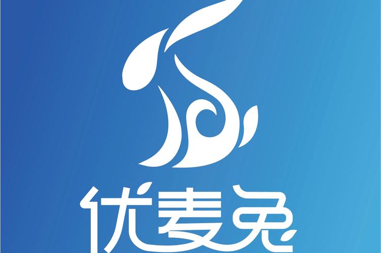 信息技术服务全解析 从技术开发到推广的完整生态